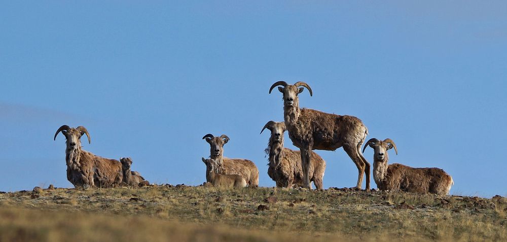 Photograph by Игорь Чупин