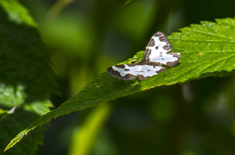 Фотография автора Геннадий Коробов