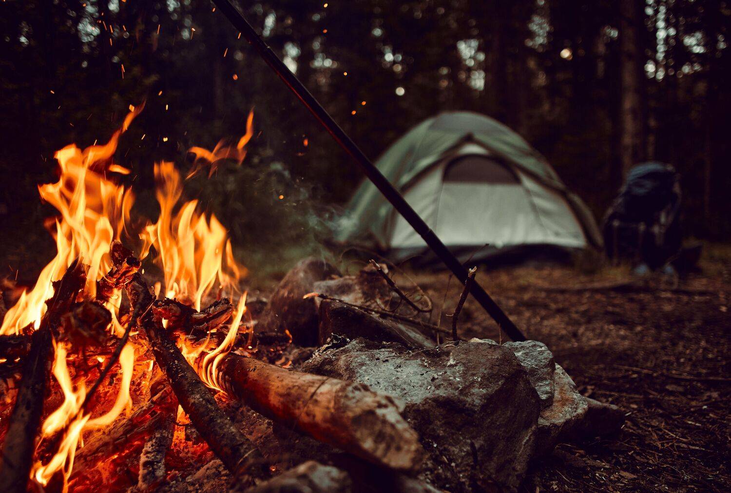 Photo #9343872