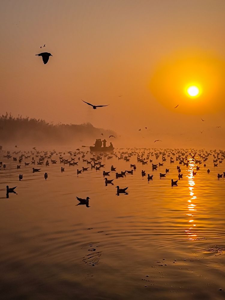 Photograph by HARSHIT MISHRA