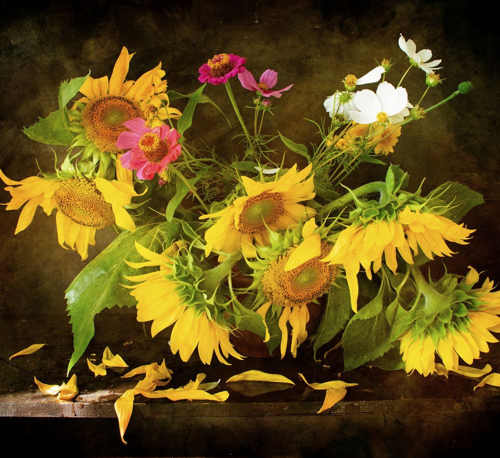 Photograph by Синегубова Ольга