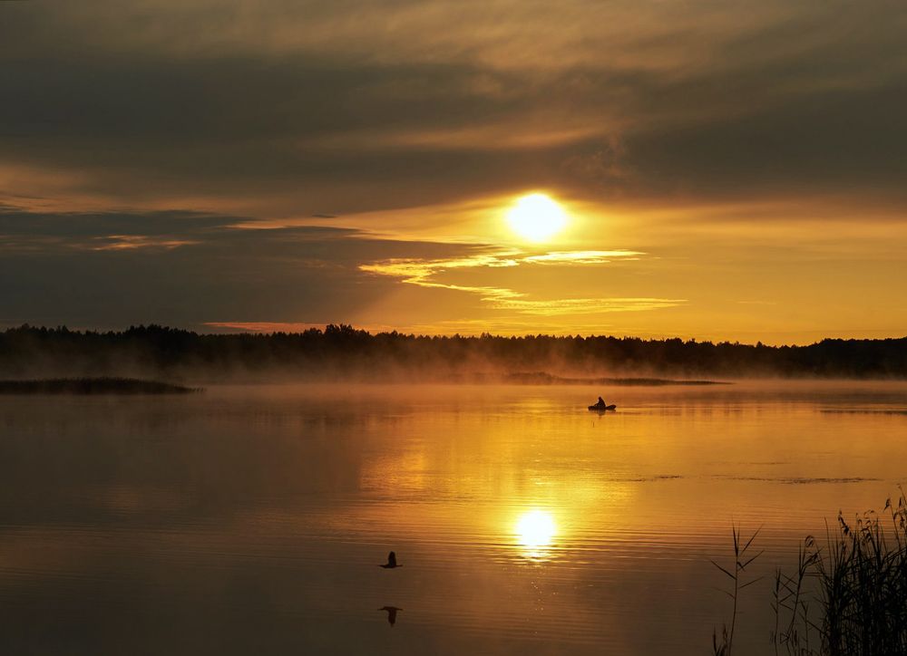 Photograph by Лариса Абрамова