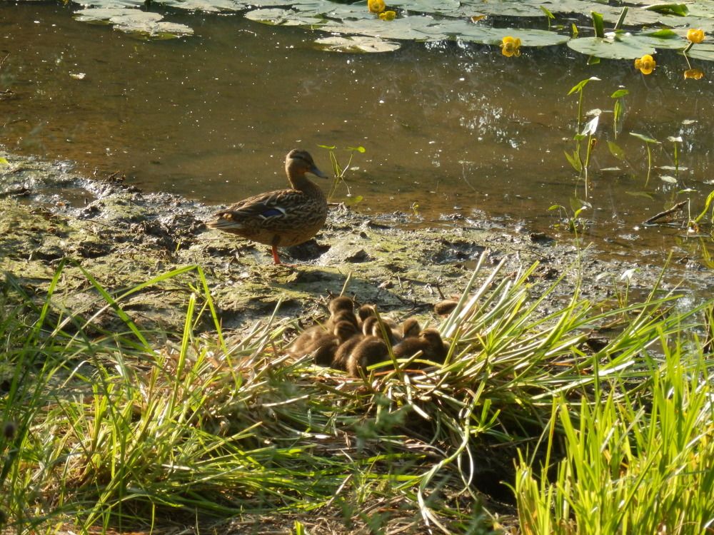 Photograph by Георгий Салюков