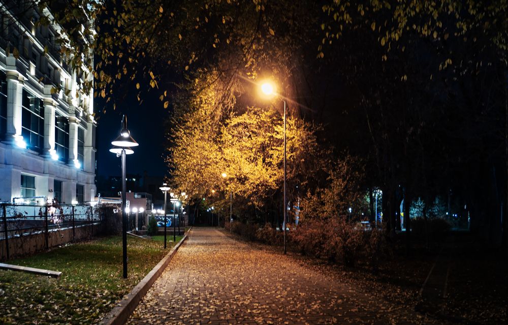 Photograph by Karpenko Denis