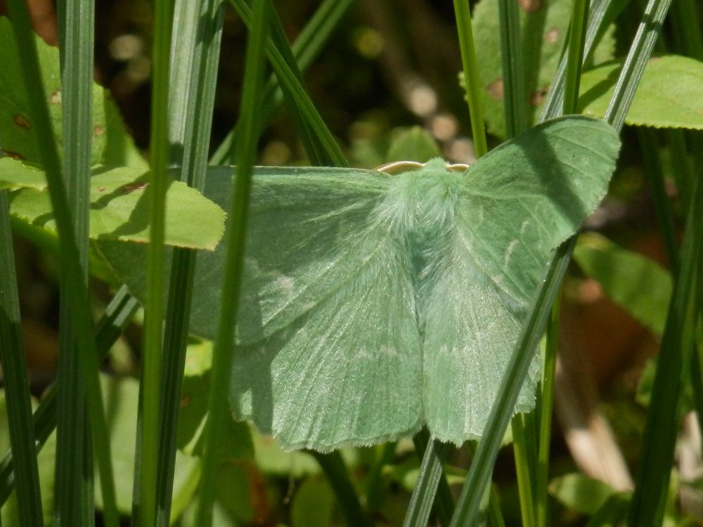 Photograph by Георгий Салюков