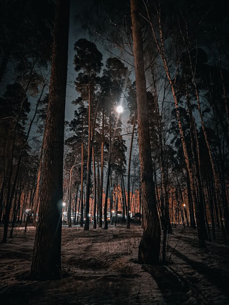 Photograph by Влад Апанасов