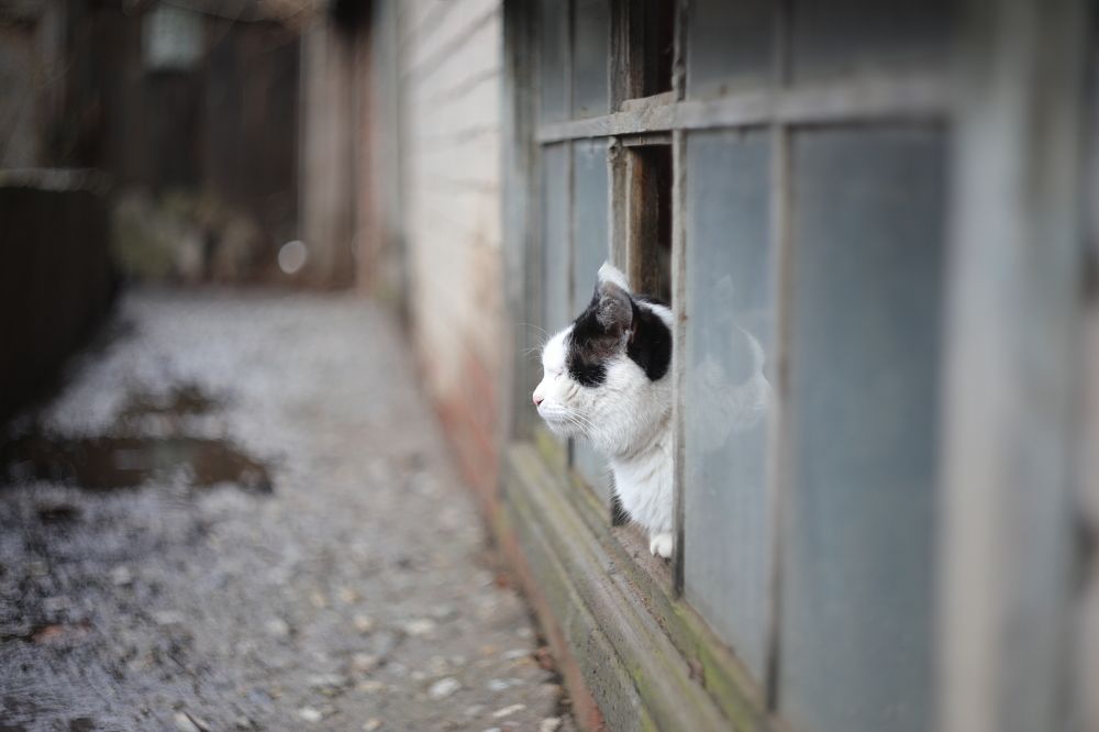 Photograph by Дарья Юсарева