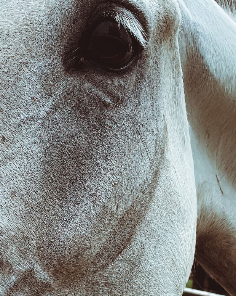 Photograph by Валерия Спирина