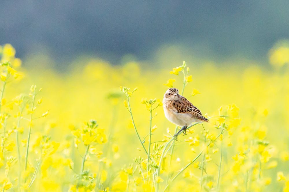 Photograph by Сергей Поляченко