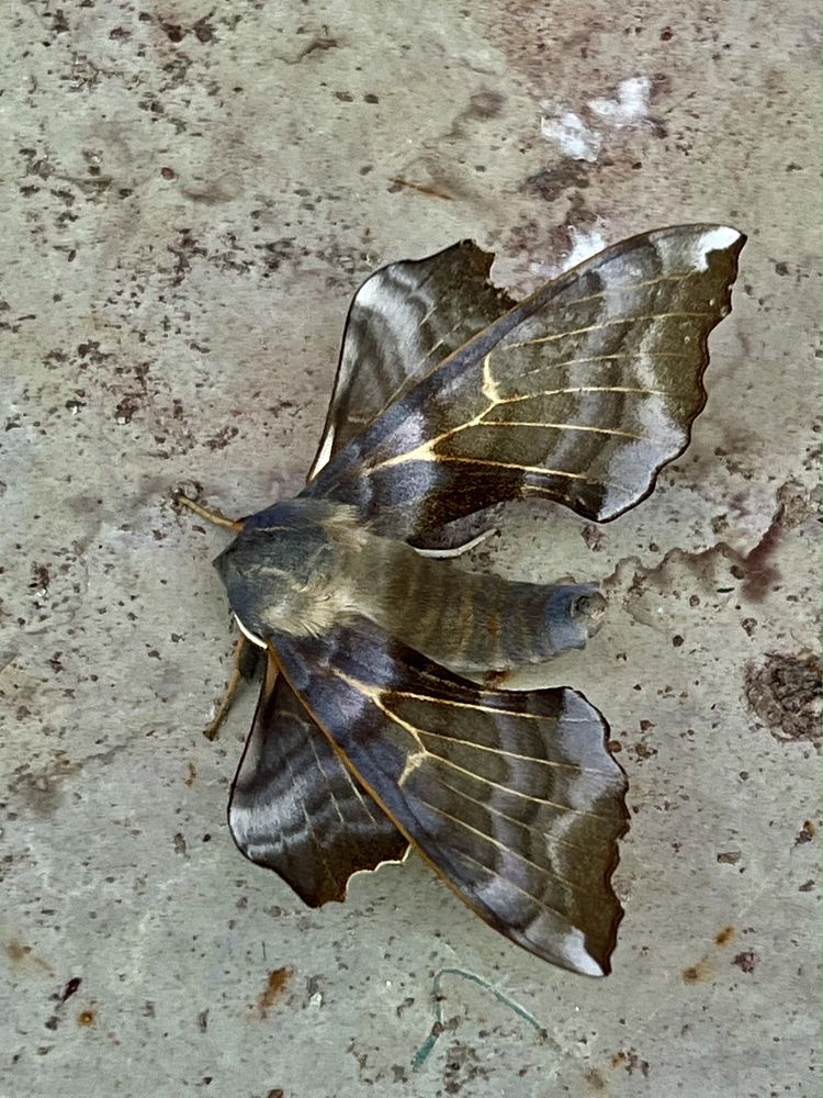 Photograph by Rustam Abdulin