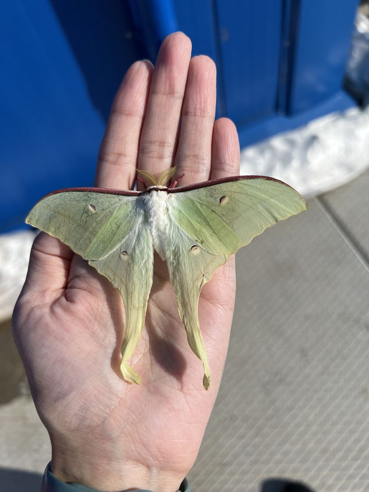 Photograph by Rustam Abdulin