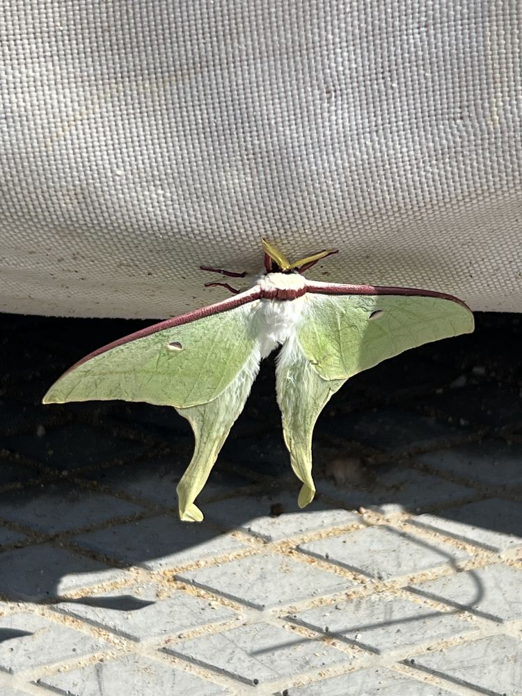 Photograph by Rustam Abdulin