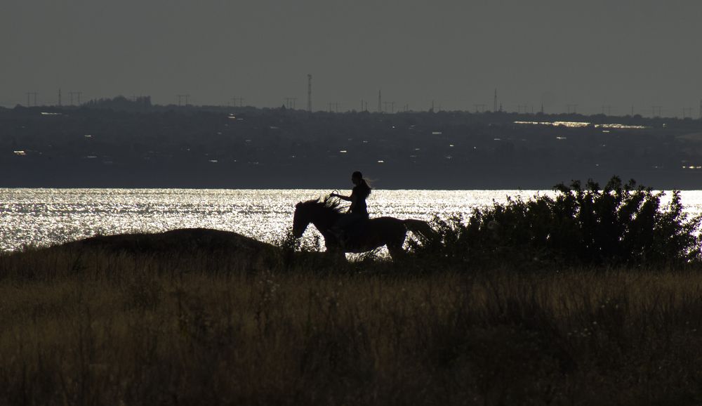 Photograph by Ирина Шибитова