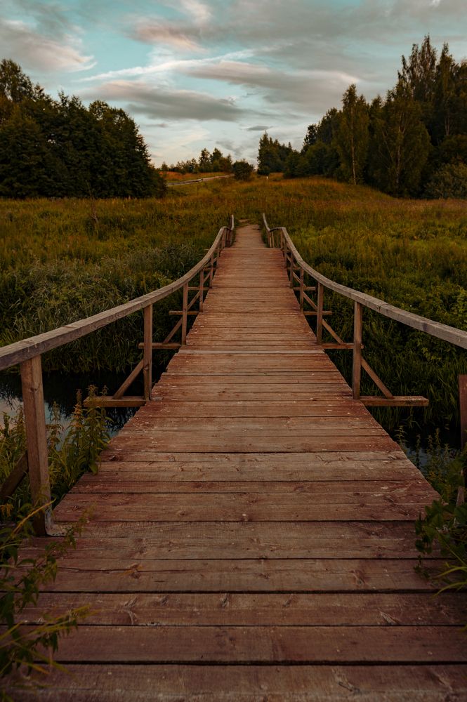 Фотография автора Елена Ефимова