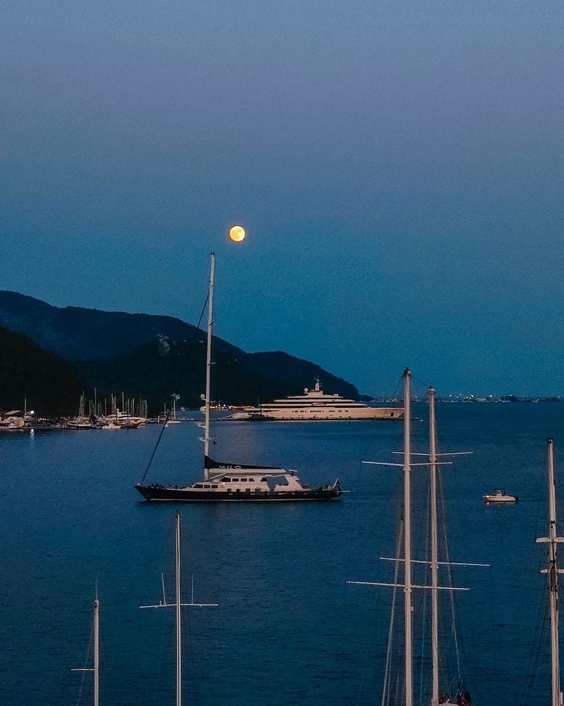 Photograph by Алия Аткельтирова