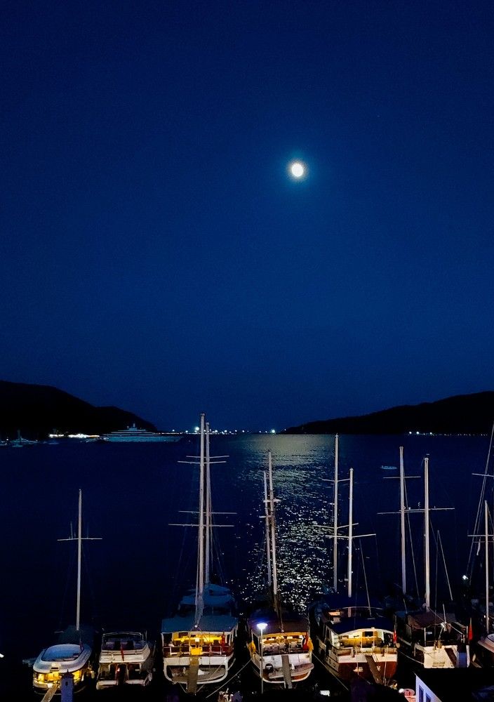 Photograph by Алия Аткельтирова