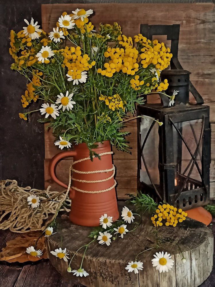 Летним теплым вечером