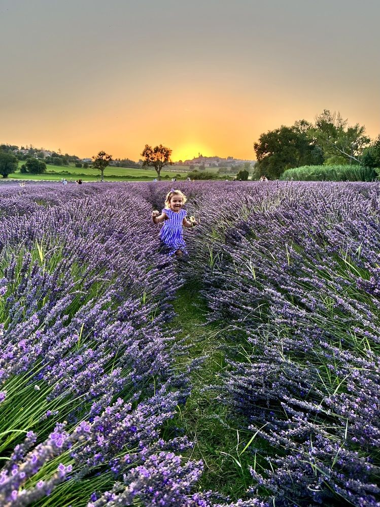 Photograph by Лариса Акинчиц