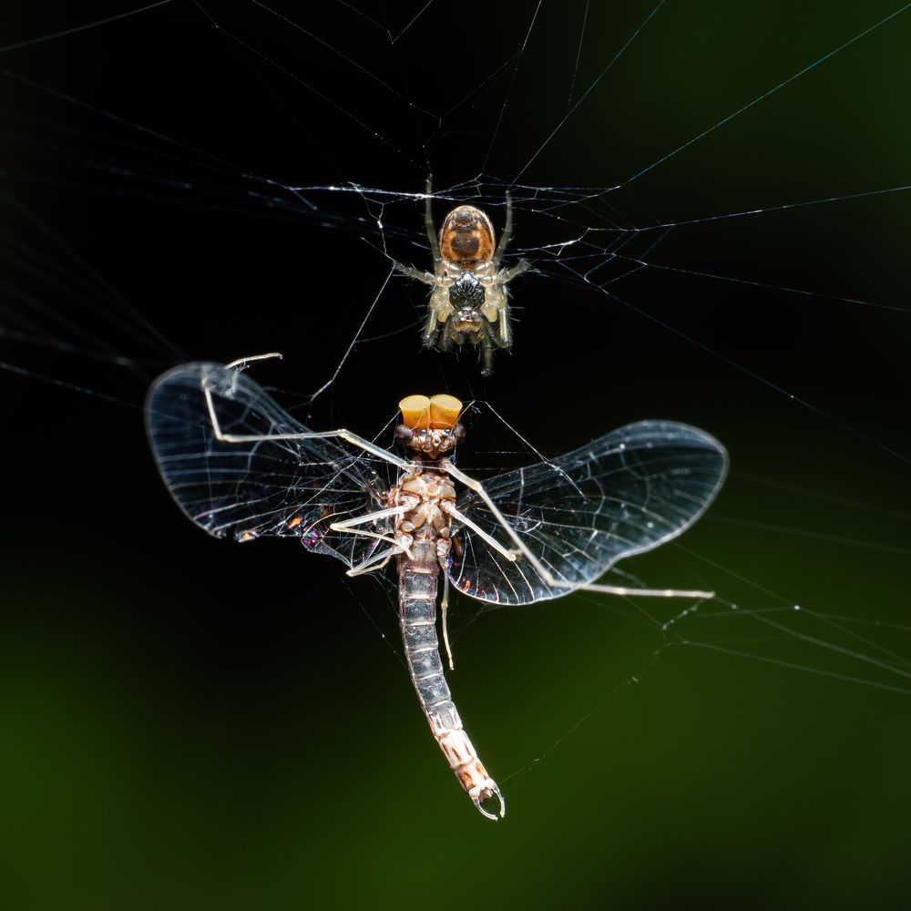 Photograph by Gevork Gukasyan