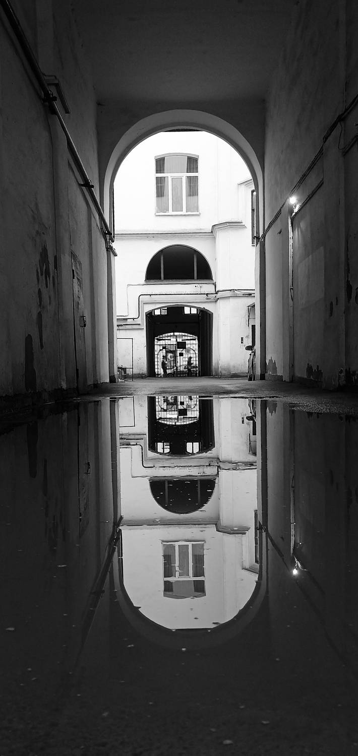 Photo #9344617