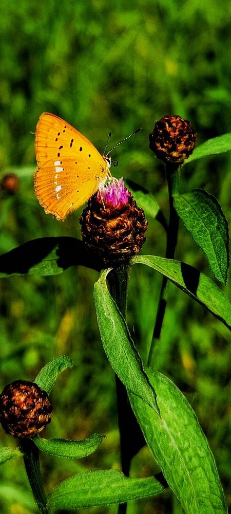 Photograph by Наталья