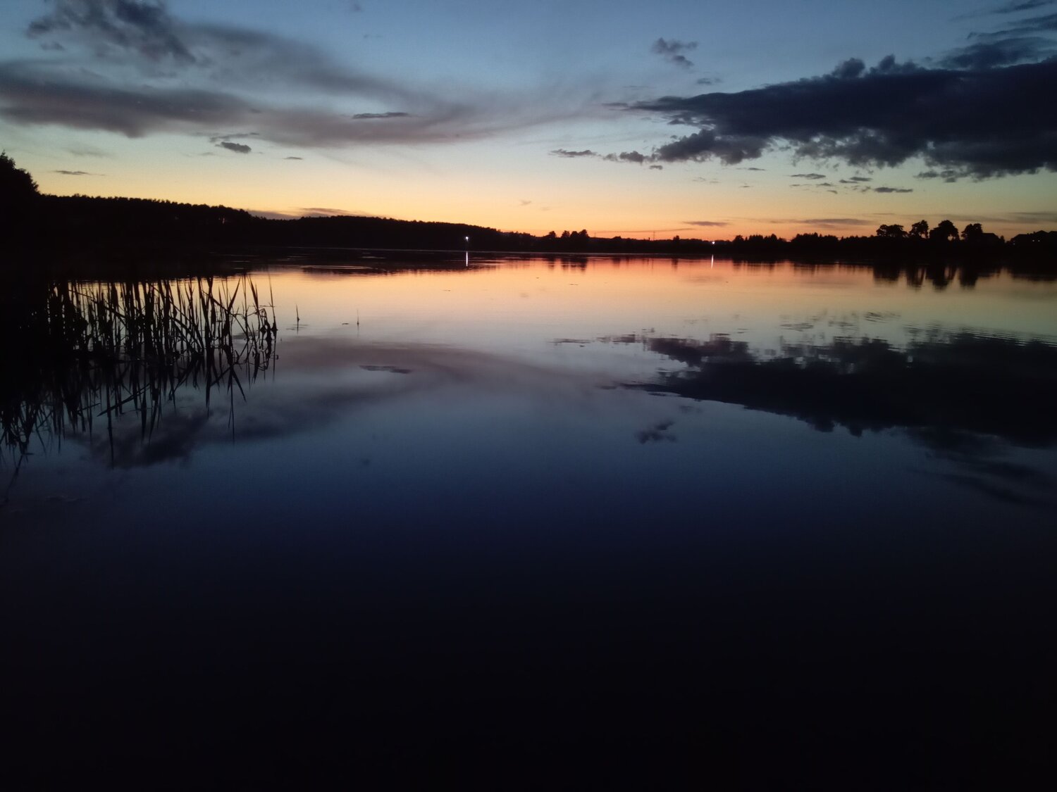 Photo #9344737