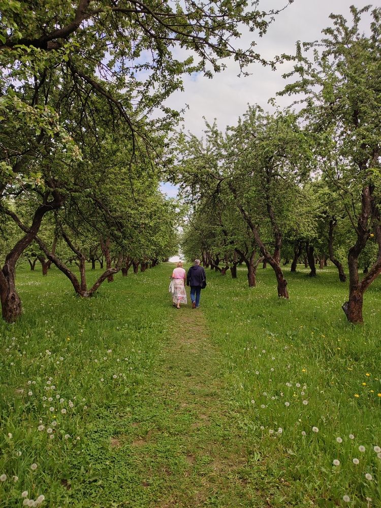 Photograph by Лолита Богачева