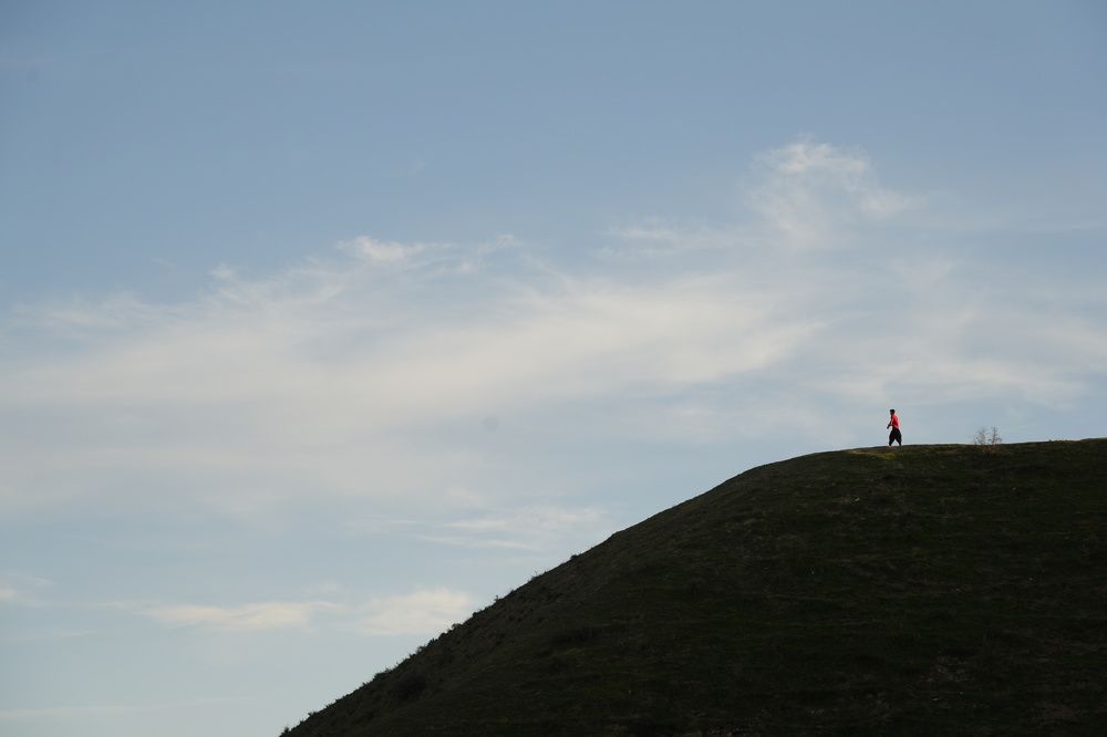 Photograph by Morteza Beiglou