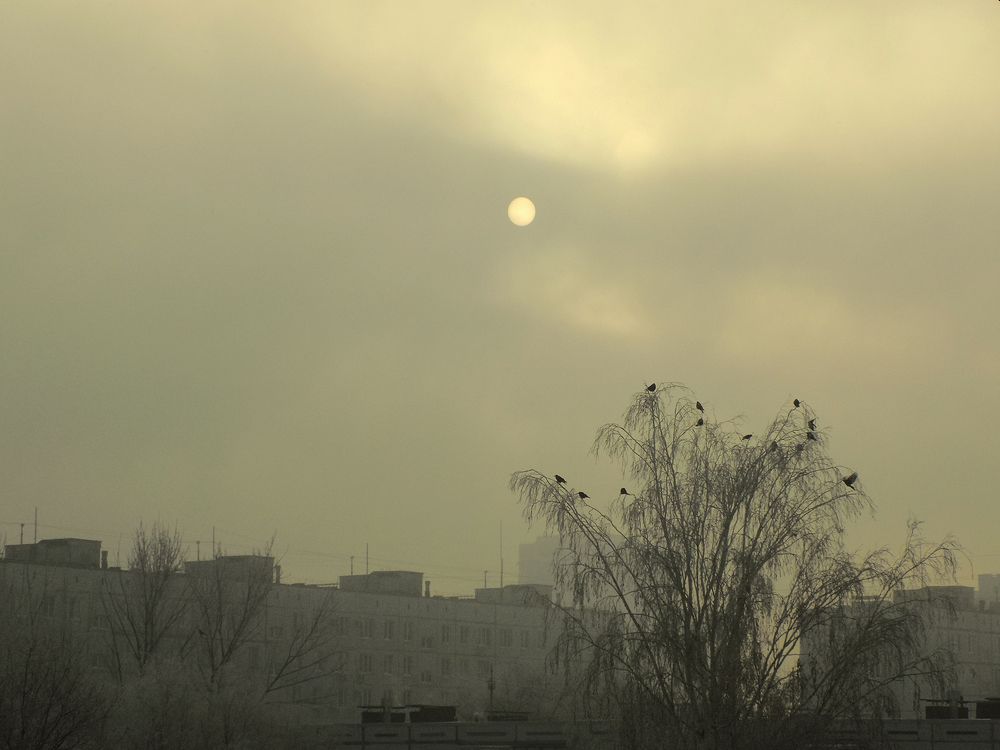 Photograph by Сергей Рудаков