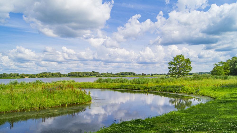 Фотография автора Юрий Цыркунов