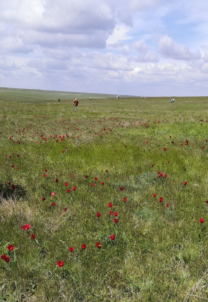 Photograph by Юлия Пацке