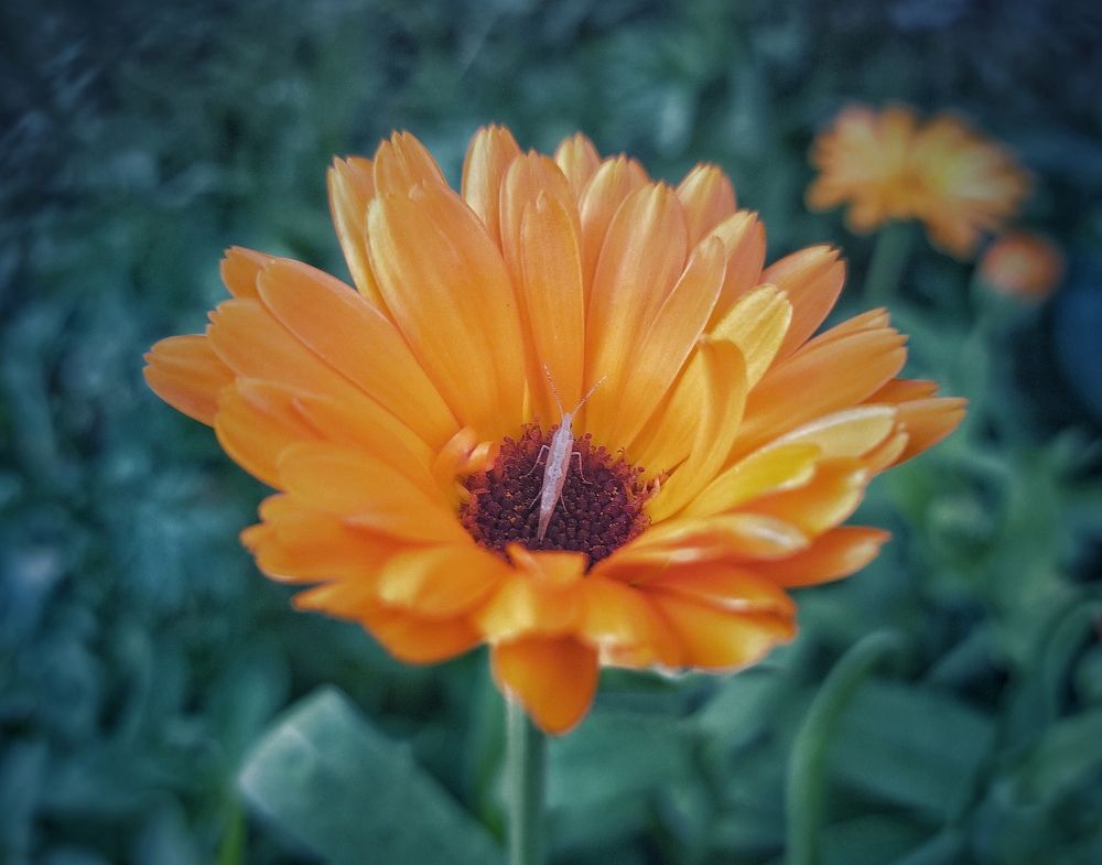 Photograph by Александр Бакин