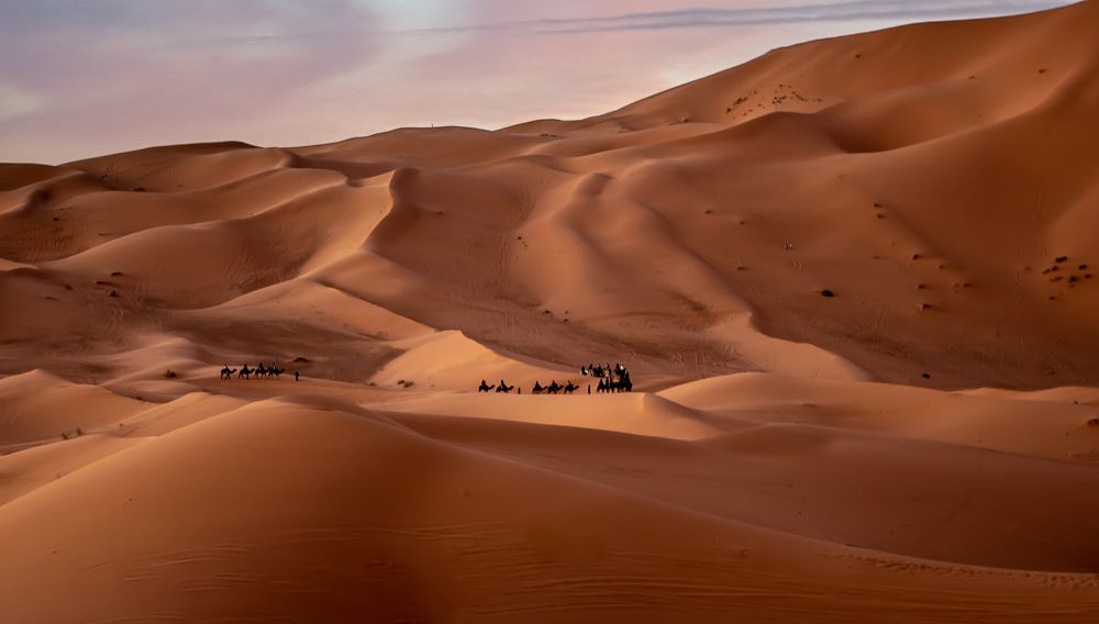 Photograph by Bevzenko Roman