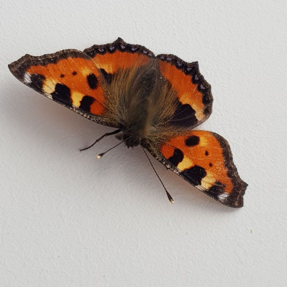 Photograph by Елена Ямнюк