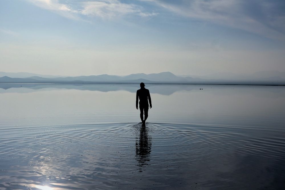 Photograph by Seyed-Sajad Hamedheydari