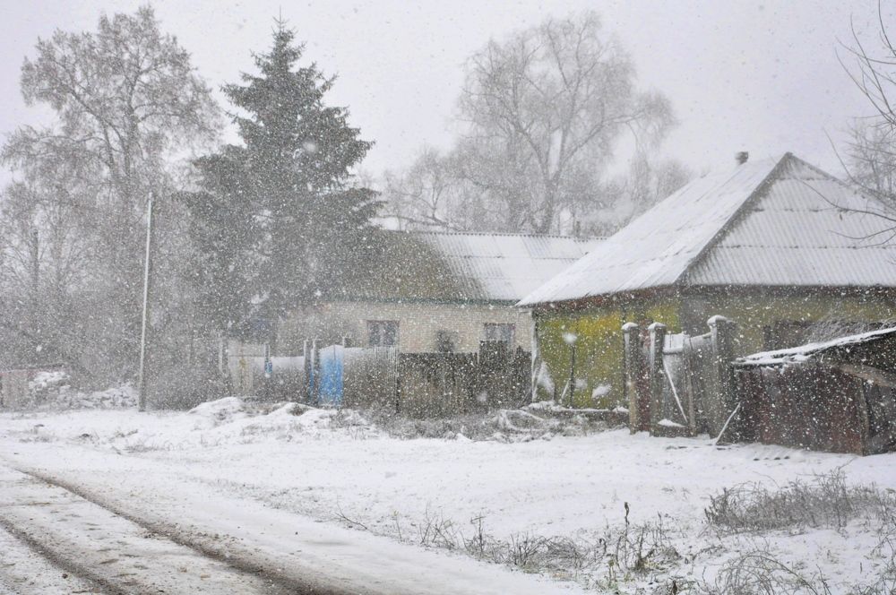 Photograph by Галина Лысых