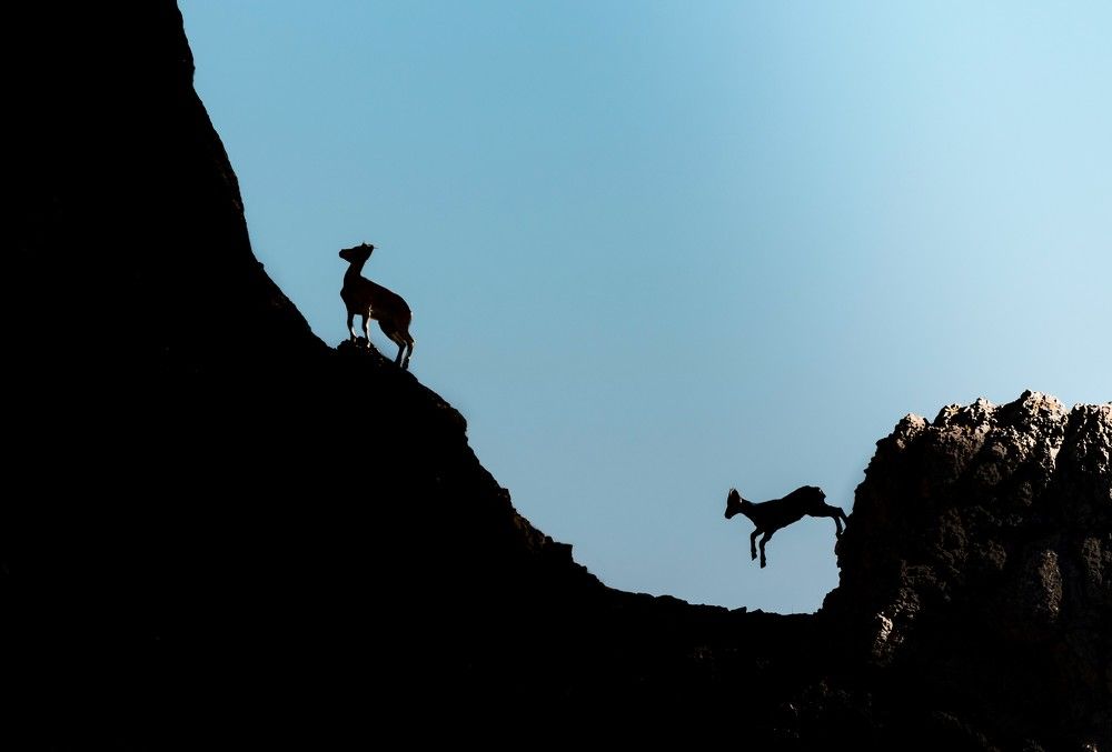 Photograph by David Torres Alcázar