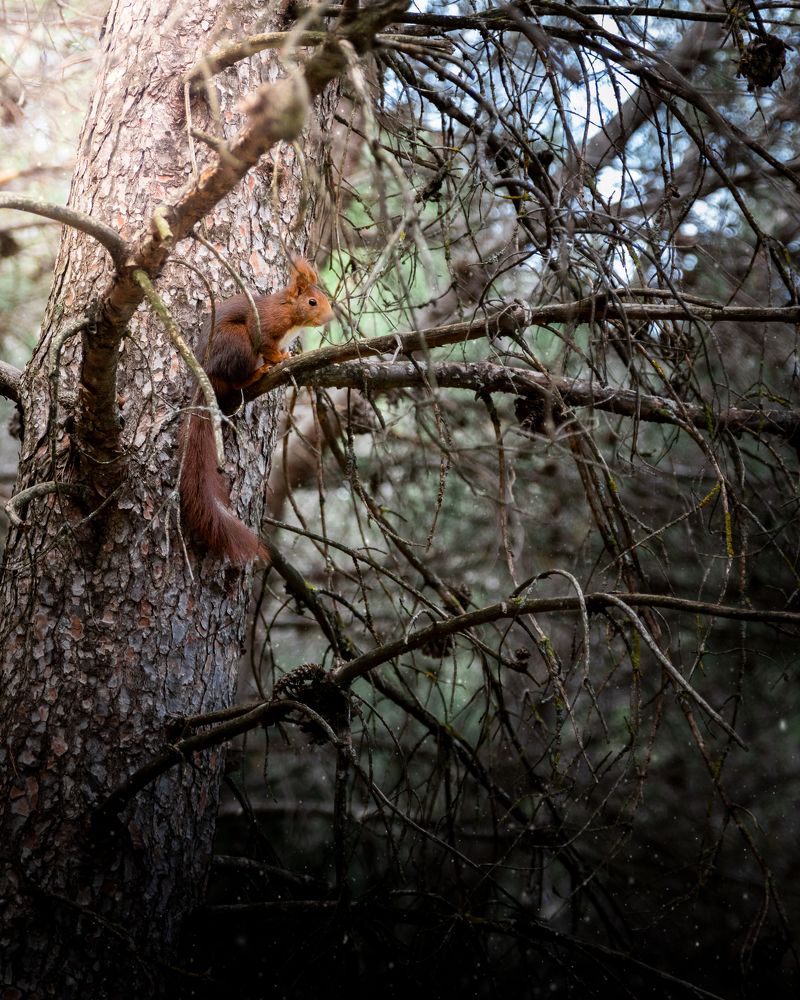 Photograph by David Torres Alcázar