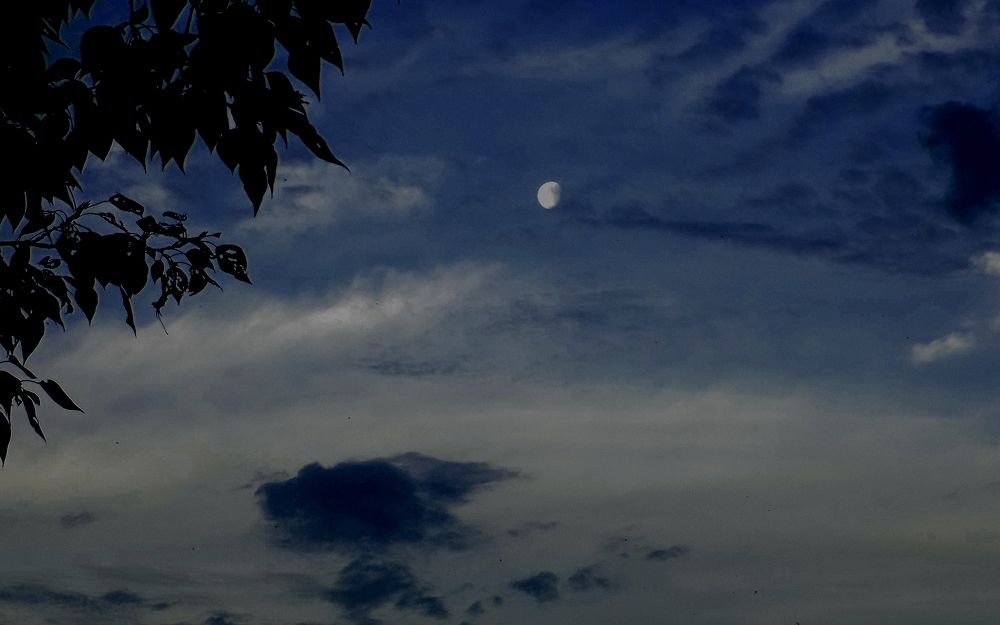 Photograph by Сергей Рудаков