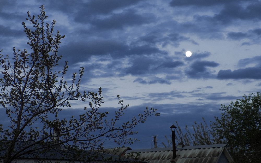 Photograph by Сергей Рудаков