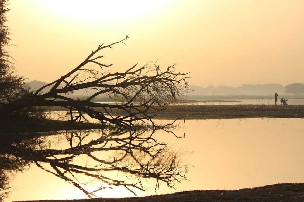 Mankind is smaller than the nature