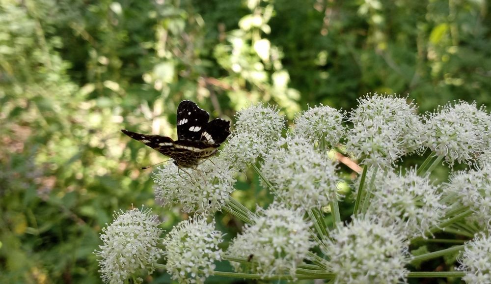 Photograph by Анастасия Кичигина