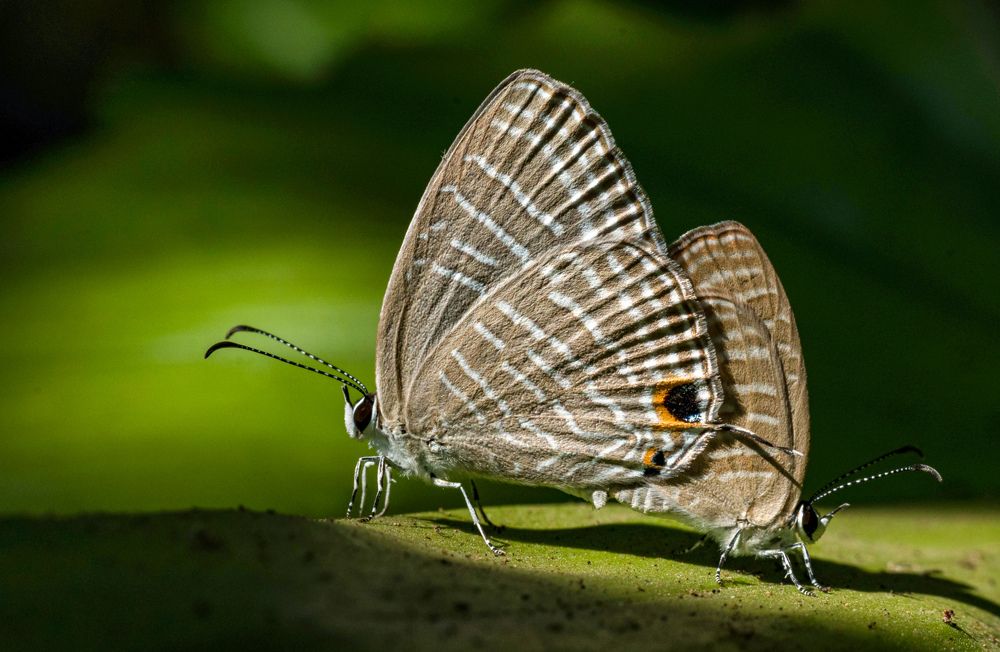 Photograph by Rachana madhav