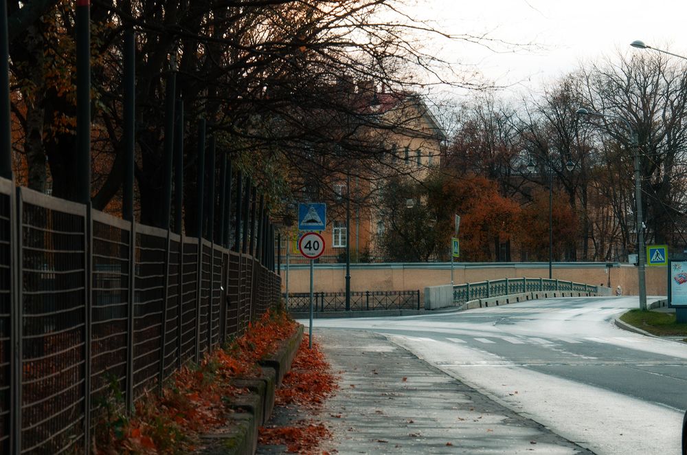 Фотография автора Lyudmila Yakovleva