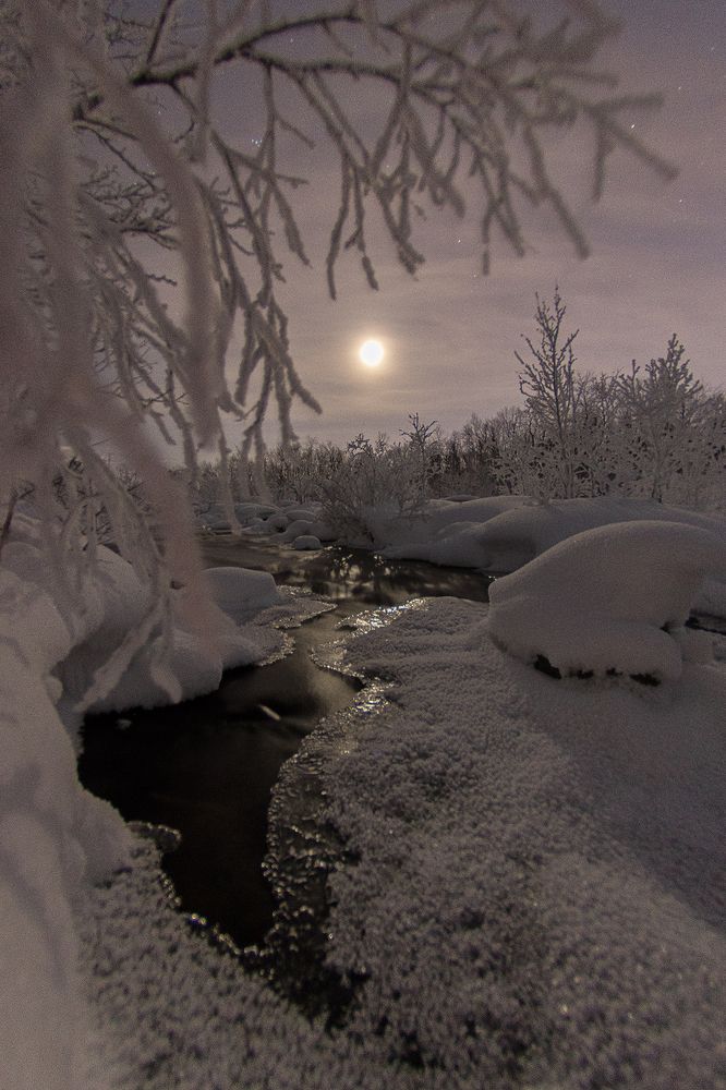 Photograph by Светлана Ржевская