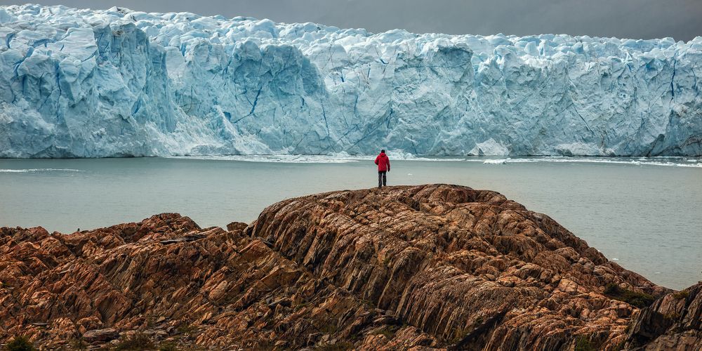 Photograph by Carlos Gianoli