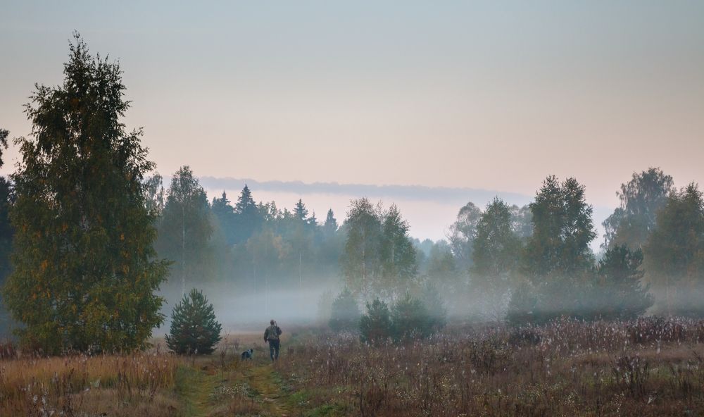 Photograph by Александр Чибиркин