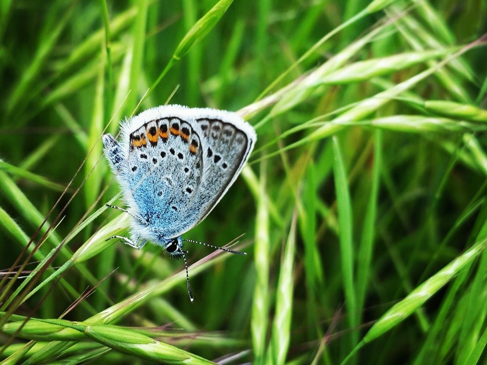 Photograph by Александра Ворона