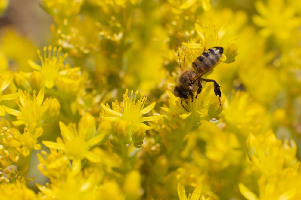 Photograph by Mahmut YILMAZ