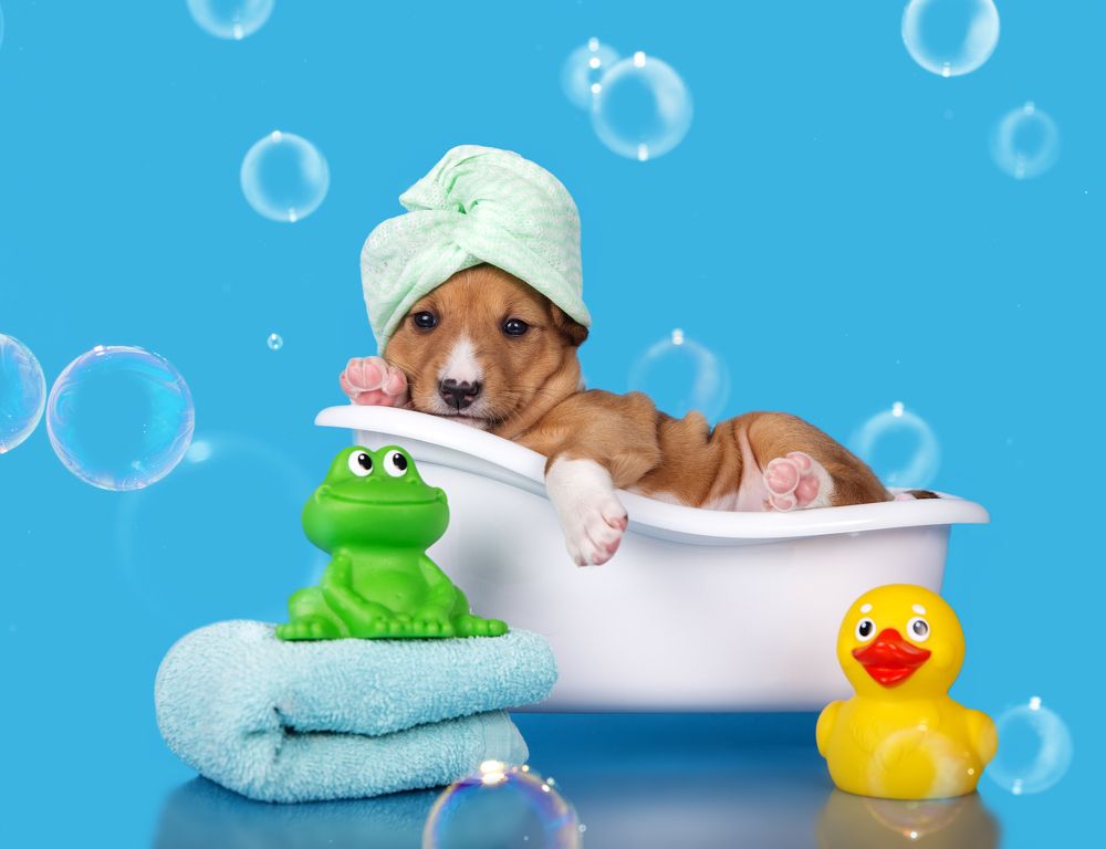 Photograph by Юлия Вербицкая